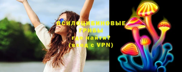 стафф Аркадак