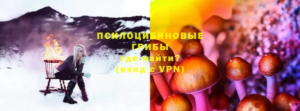 стафф Аркадак