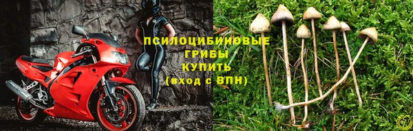 трава Армянск