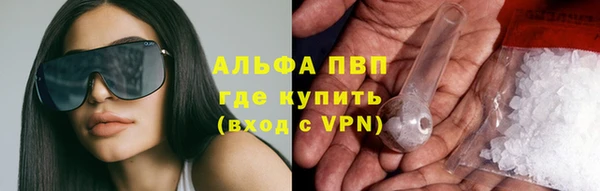 стафф Аркадак