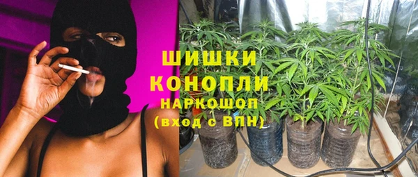 трава Армянск