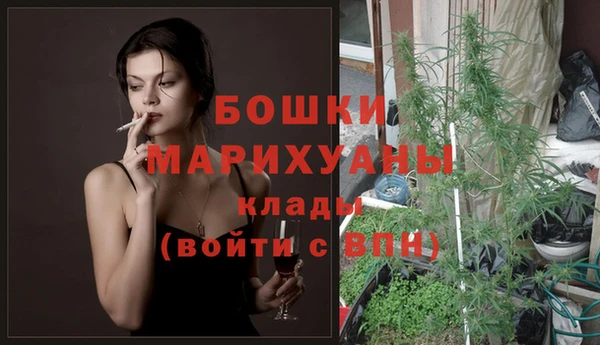 стафф Аркадак