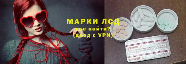 стафф Аркадак